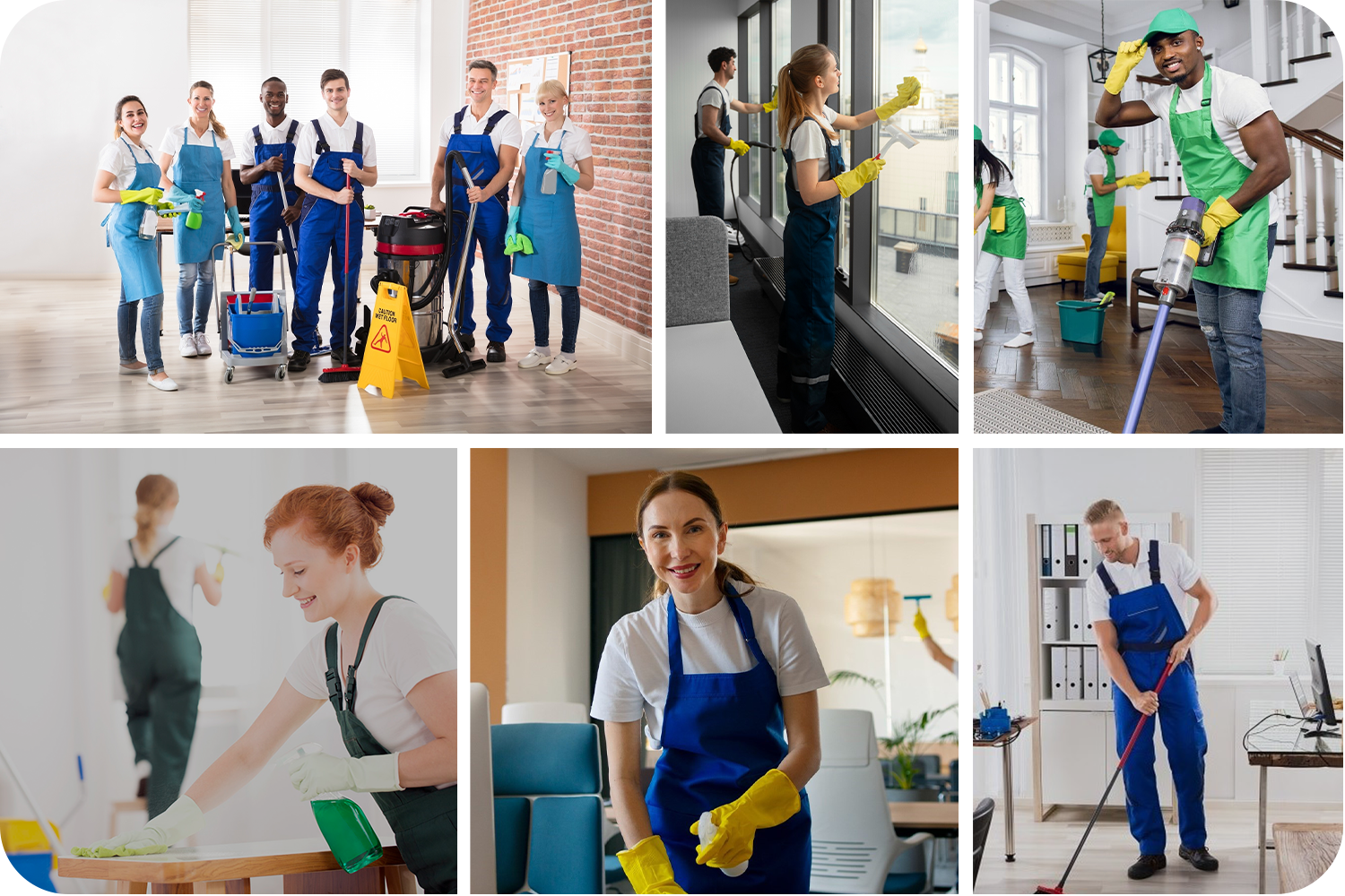 Cleaning Professional